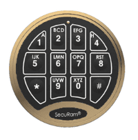 SecuRam Antique Bronze Elock